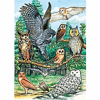   35 pc Tray Puzzle North American Owls 