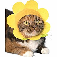Cat Cap Flower Blind Box