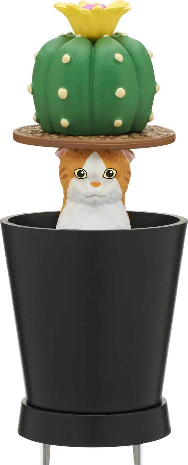 30 Toys Pot For Cat - Biozoo