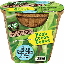 Green Bush Beans