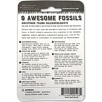 Cc: Fossil Card