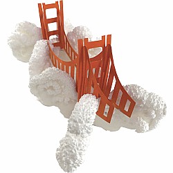 Crystal Growing Golden Gate Bridge