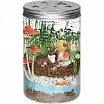 Grow N Glow Terrarium