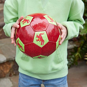 Dinosaur, Glitter Soccer Ball Size 3
