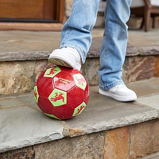 Size 3 Glitter Soccer Ball - Dinosaur