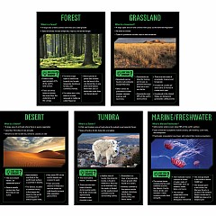Ecosystems Poster Set