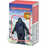 Box Set #4-1 Books 1-4