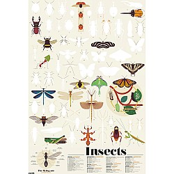 Discovery Poster, Insects (with Stickers!)