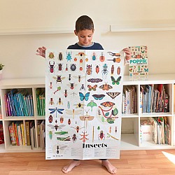 Discovery Poster, Insects (with Stickers!)