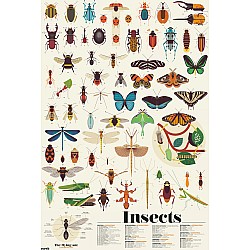 Discovery Poster, Insects (with Stickers!)