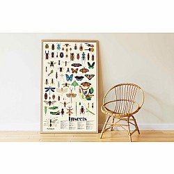 Discovery Poster, Insects (with Stickers!)