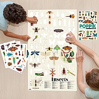 Discovery Poster - Insects