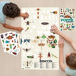 Discovery Poster, Insects (with Stickers!)