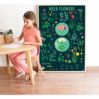 Discovery Poster, Botanic (with Stickers!)