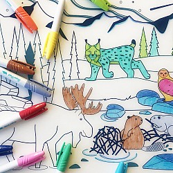 DAM Wildlife Coloring Mat, Boreal Forest