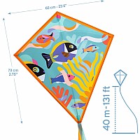 Ocean Kite