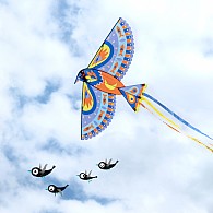 Maxi Bird Giant Kite