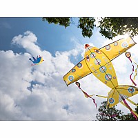 Maxi Plane Giant Kite