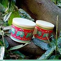 Djeco Animambo Bongo Drums Musical Instrument