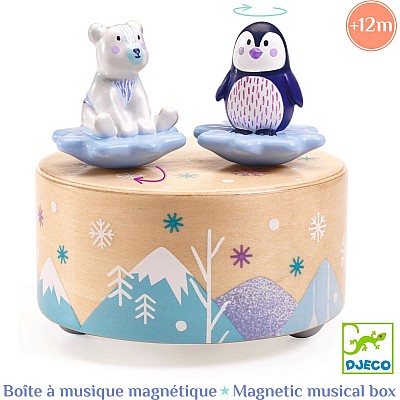 Ice Park Melody Music Box