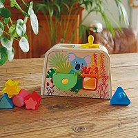 Multi Activity Sorting Box