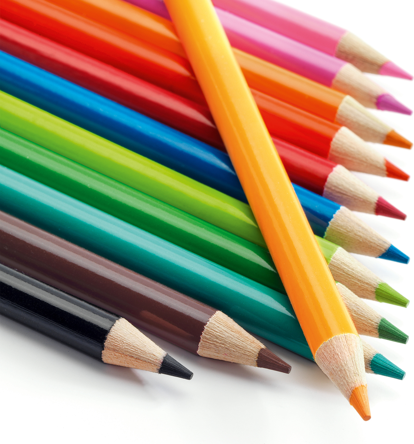 Art Supplies 12 Watercolor Pencils