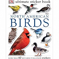 Ultimate Sticker Books: North American Birds
