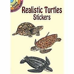 Realistic Turtles Stickers