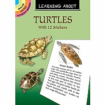 Learning About Turtles