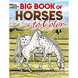Big Book of Horses to Color