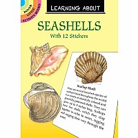 Learning About Seashells