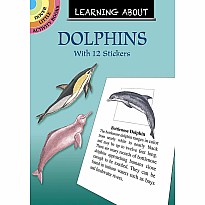 Learning About Dolphins