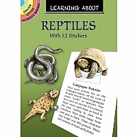 Learning About Reptiles