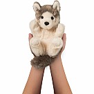 Wolf Lil' Handful