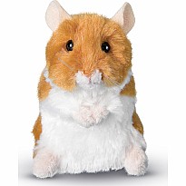Brushy Hamster
