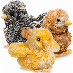 Yellow Multi Chick
