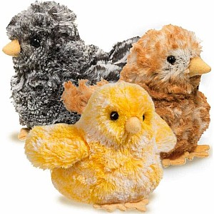 Yellow Multi Chick