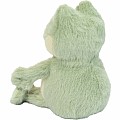 Douglas Plush Flip Frog