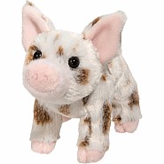 Brown Spotted Pig