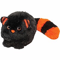 Black Cat with Orange & Black Trim
