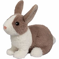 Daffodil Dutch Bunny