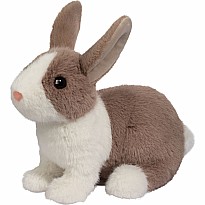 Daffodil Dutch Bunny