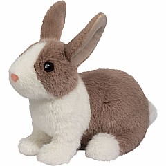 Daffodil Dutch Bunny