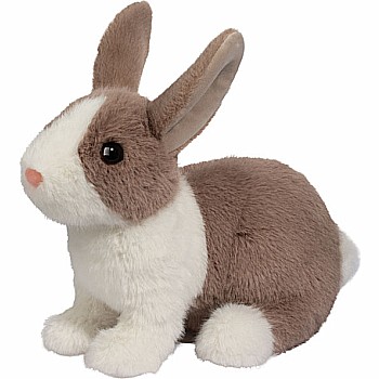 Daffodil Dutch Bunny