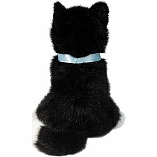 Mini Black & White Cat - Blue Collar