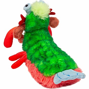 Punchie Peacock Mantis Shrimp