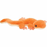 Salamander- Sam