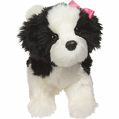 Poofy Black & White Shih-Tzu