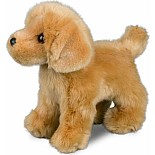 Chap Golden Retriever