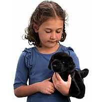 Bear Black Lab